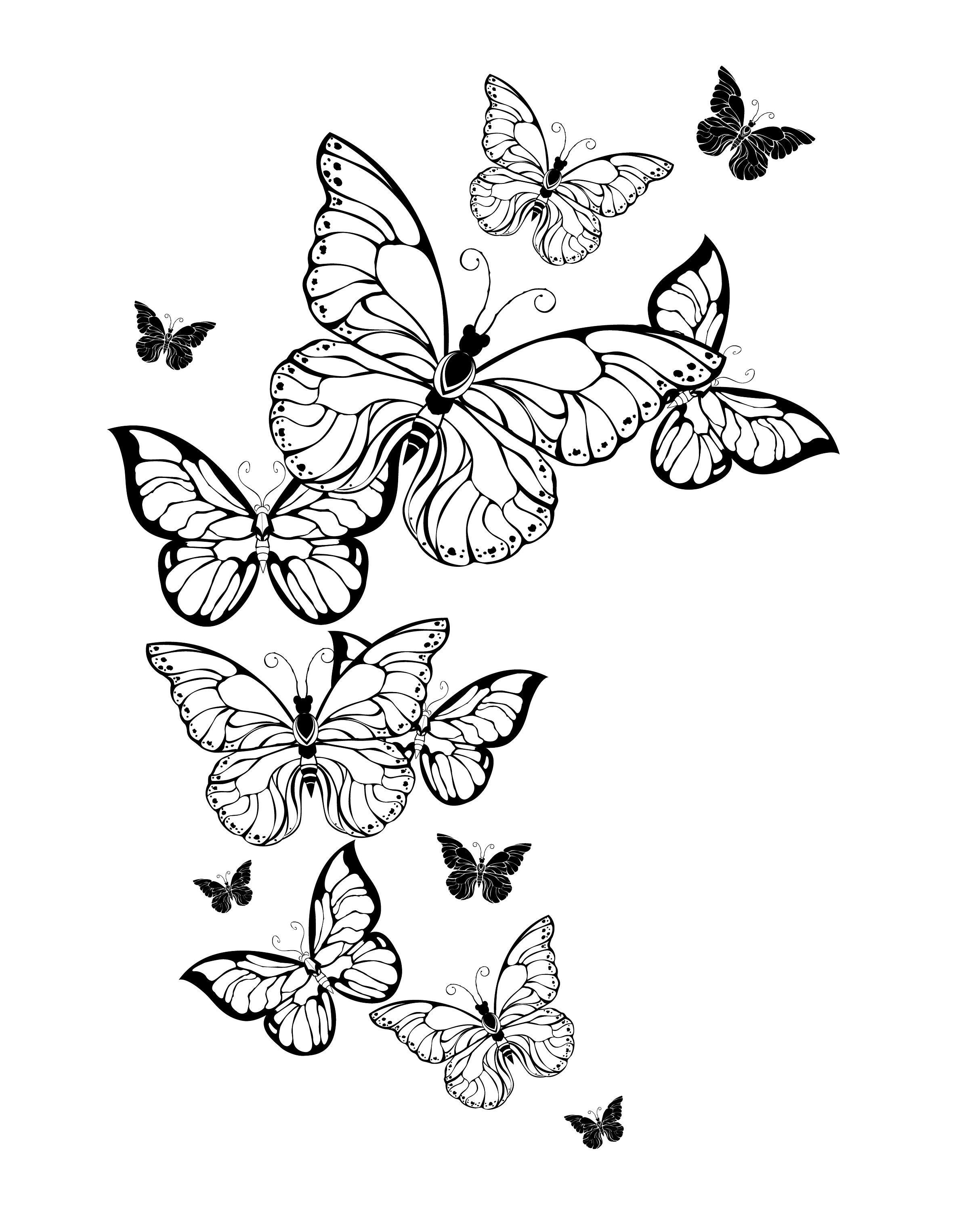 Butterfly Coloring Pages Ubicaciondepersonas cdmx gob mx