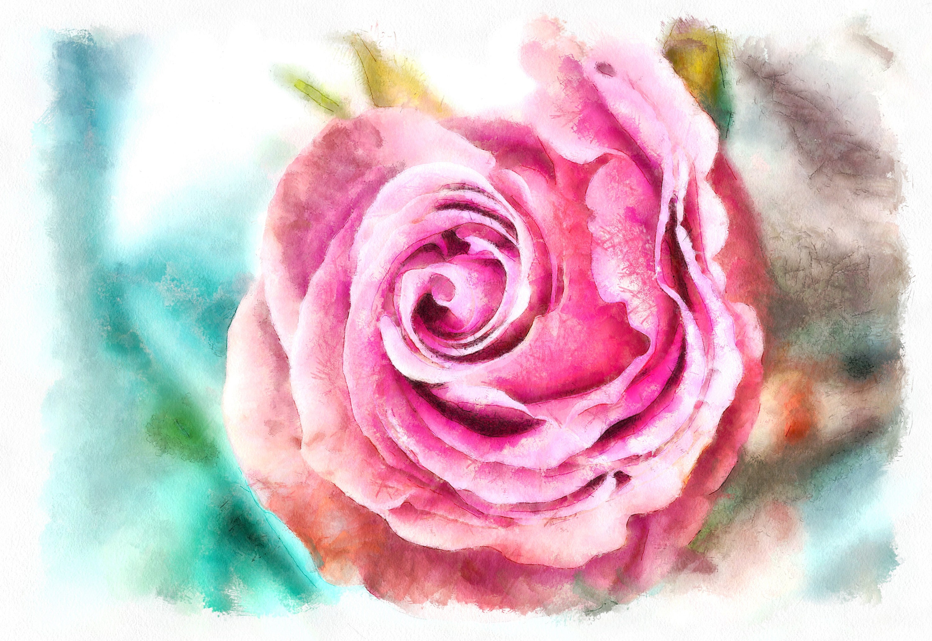 Printable Pink Rose Wall Decor Home Decor Flower Wall Decor - Etsy