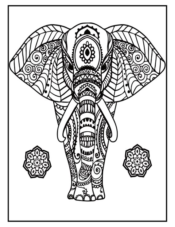 Elephant Mandala Coloring Pages 50 Page Elephant Coloring - Etsy