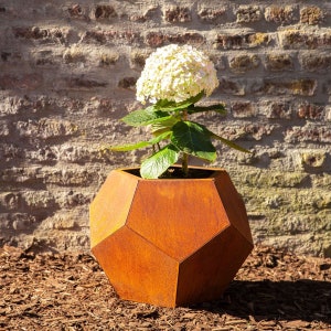 May include: A rusty brown geometric planter with a white hydrangea plant growing inside. The planter is made of metal and has a unique, modern design.