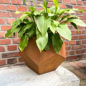 Corten Metall Planter, In & Outdoor / Small Gardening Gift rust image 5