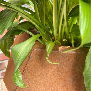 Corten Metall Planter, In & Outdoor / Small Gardening Gift rust image 6
