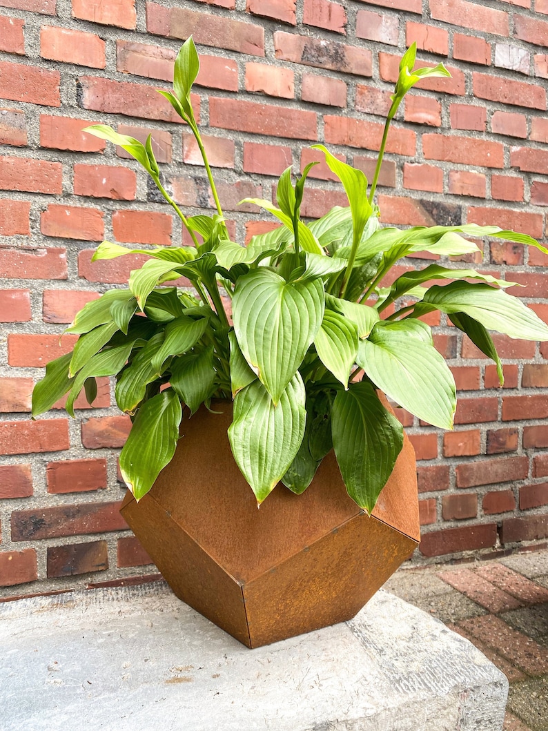 Corten Metall Planter, In & Outdoor / Small Gardening Gift rust image 5