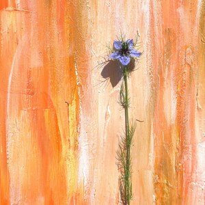 A Flower for You