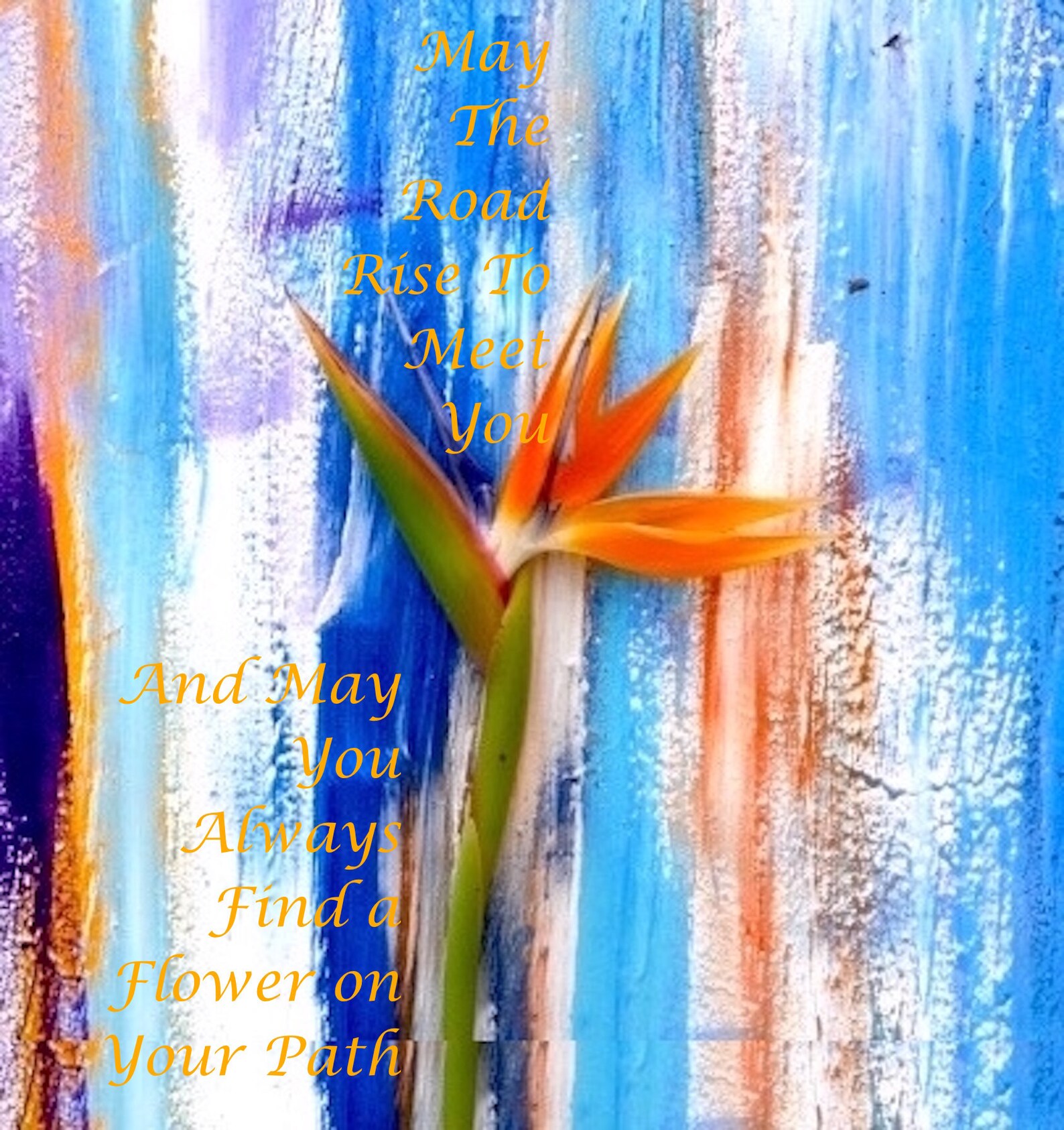 My Image 32