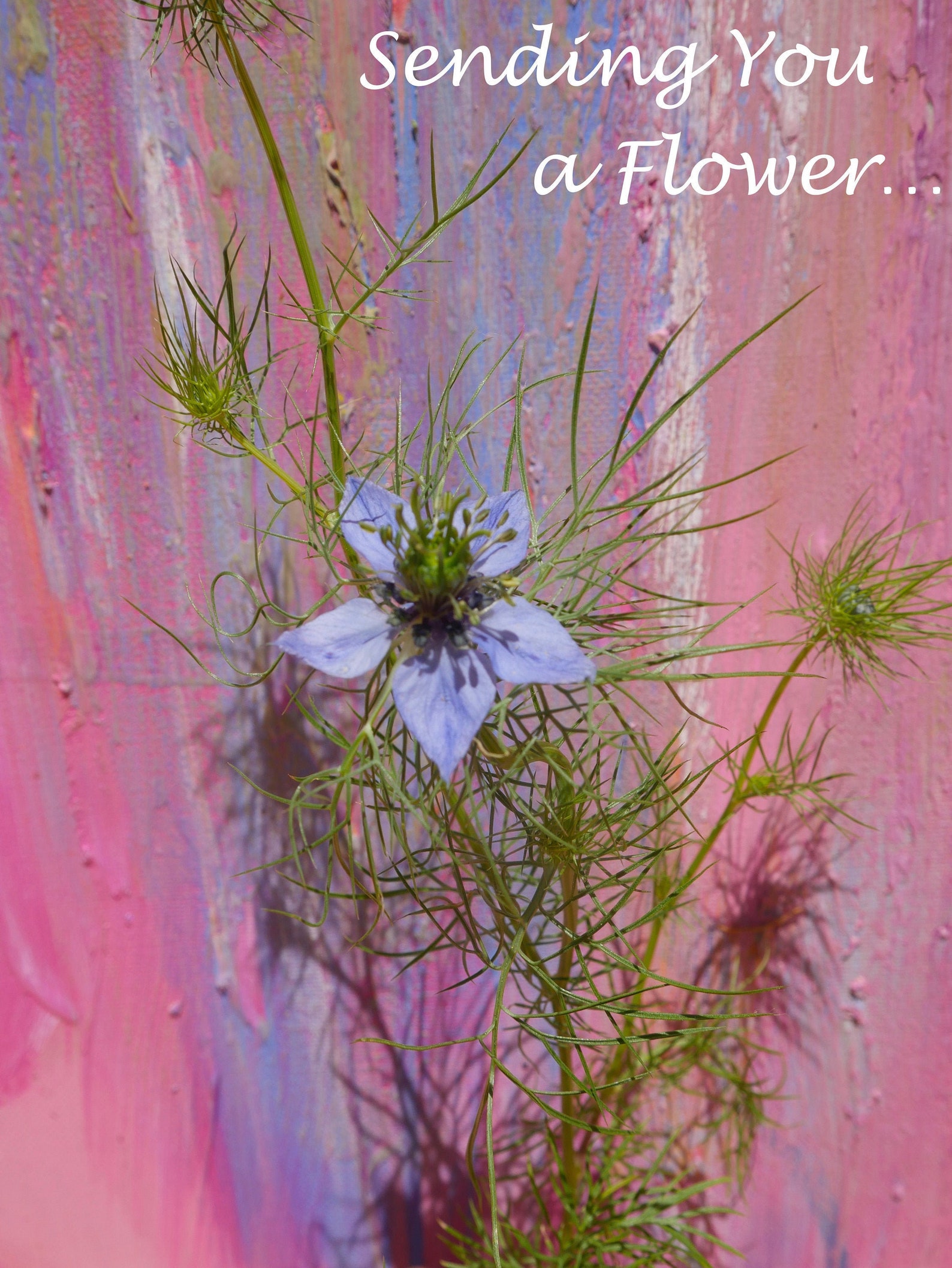 Sending You A flower Greeting Card Etsy