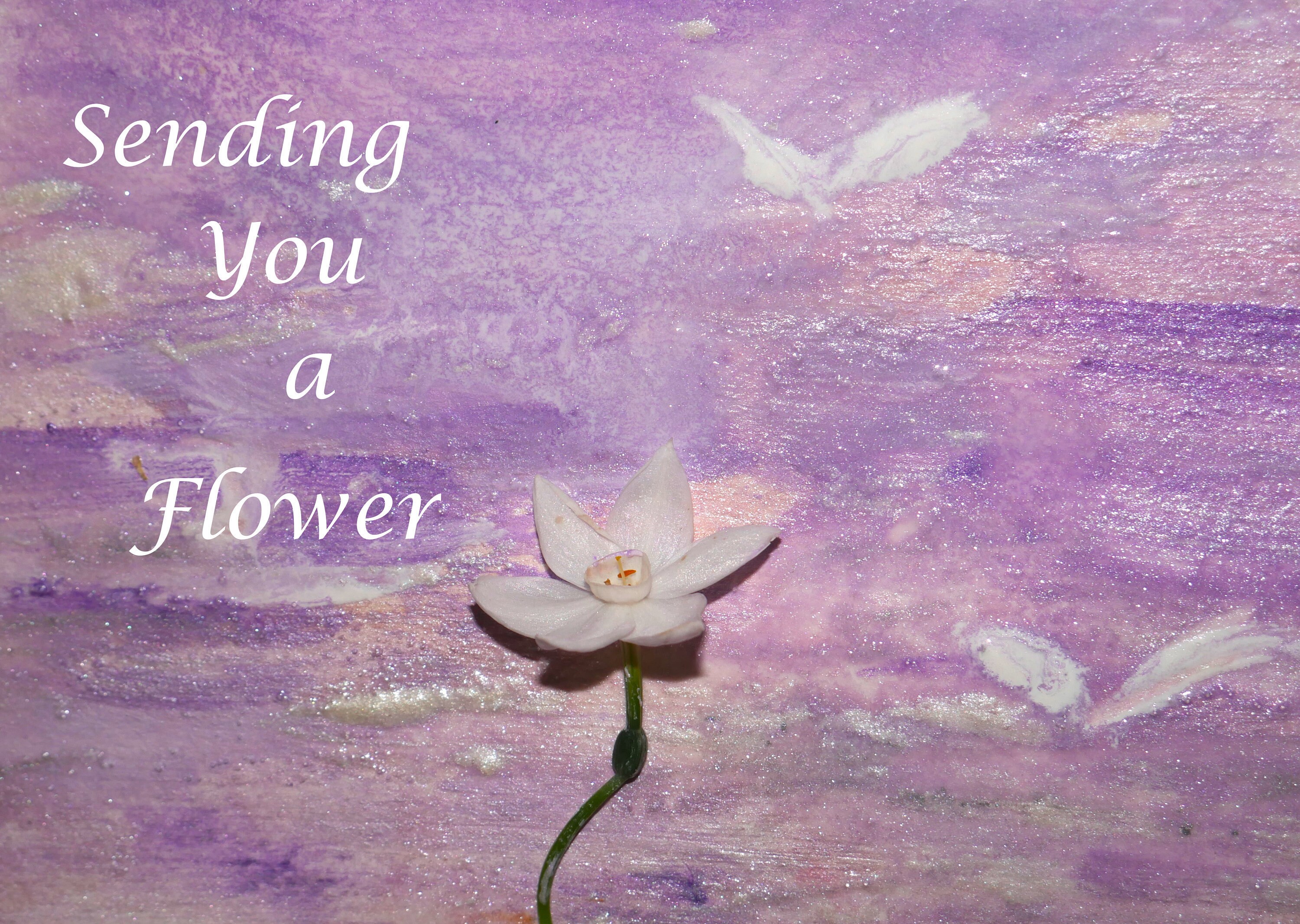 Sending You A Flower Card Etsy