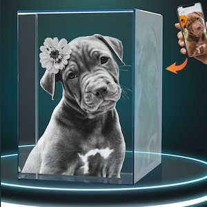 Dog Memorial Gift Memorial Gift for Dogs Pet Memorial Gift Custom Crystal 3D Photo Pet Memorial Glass Pet Symapthy Gift Dog Pet Loss Gift