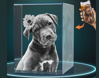 Dog Memorial Gift Memorial Gift for Dogs Pet Memorial Gift Custom Crystal 3D Photo Pet Memorial Glass Pet Symapthy Gift Dog Pet Loss Gift