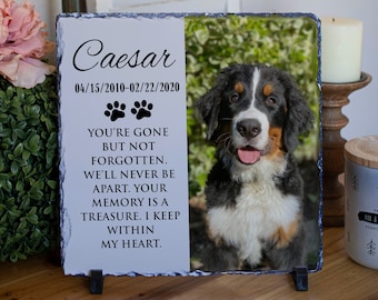 Könnte beinhalten: Schwarzweißfoto eines Berner Sennenhundes auf einer Schiefertafel mit dem Text "Caesar 04/15/2010-02/22/2020" und einem Gedicht über das Gedenken an ein Haustier.