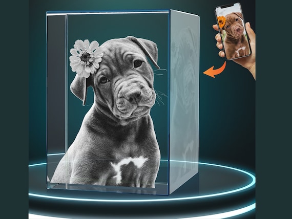 Dog Memorial Gift Memorial Gift for Dogs Pet Memorial Gift Custom Crystal 3D Photo Pet Memorial Glass Pet Symapthy Gift Dog Pet Loss Gift Etsy