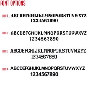 May include: Image displaying four different font options. Each font shows the alphabet and numbers 1 through 0. The text "FONT OPTIONS" is at the top in red. Each font is labeled with a number and the text "FONT".
