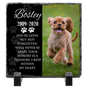 May include: Black slate memorial with a photo of a brown and white puppy running on green grass. The text reads "Bosley 2009-2020" and "You're gone but not forgotten. We'll never be apart. Your memory is a treasure. I keep within my heart."
