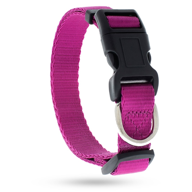 May include: A vibrant magenta dog collar with a black plastic buckle and a silver metal D-ring. The collar is made of a durable, woven material. The collar is designed for pet safety and identification.