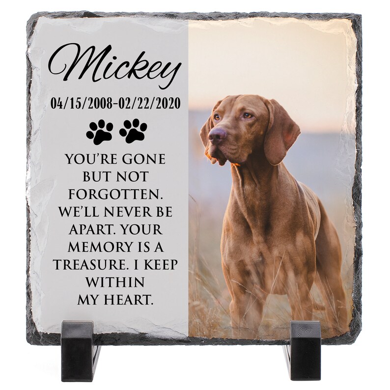 K&ouml;nnte beinhalten: Eine schwarze Schiefer-Gedenktafel mit einem Foto eines braunen Hundes. Die Tafel tr&auml;gt den Text "Mickey 04/15/2008-02/22/2020" und ein Pfotenabdruck-Symbol. Der Text unter dem Foto lautet: "Du bist gegangen, aber nicht vergessen. Wir werden nie getrennt sein. Deine Erinnerung ist ein Schatz. Ich bewahre sie in meinem Herzen."