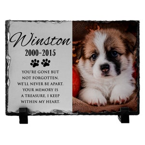 K&ouml;nnte beinhalten: Eine schwarze Schiefer-Gedenktafel mit einem Foto eines braun-wei&szlig;en Welpen. Die Tafel tr&auml;gt den Text "Winston 2000-2015" und ein Pfotenabdruck-Symbol. Der Text unter dem Foto lautet: "Du bist gegangen, aber nicht vergessen. Wir werden nie getrennt sein. Deine Erinnerung ist ein Schatz, den ich in meinem Herzen bewahre."