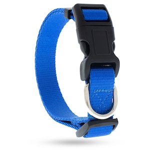 May include: A vibrant blue dog collar with a black plastic buckle and a silver metal D-ring. The collar is made of a durable, woven material. The buckle is designed for easy and secure fastening.