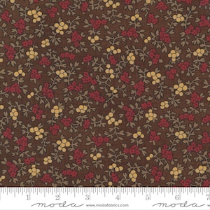 Tissu Moda — 1 yard x 44&quot; cadeau Mary Ann-Betsy Chutchian motif # 31631-20 coton