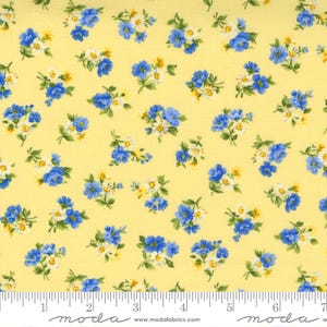 Moda-stof ---1 Yard x 44&quot; Moda Summer Breeze-patroon # 33613-13 katoenquiltstof