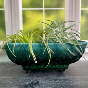 Puede incluir: Una jardinera rectangular de cerámica color verde azulado, con superficie texturizada y pequeños pies. Contiene varias plantas aéreas con hojas largas y verdes. El fondo muestra una ventana con vistas a la vegetación.