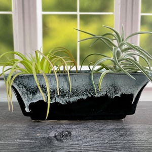 May include: A rectangular black and blue ceramic planter with a white drip glaze, holding two air plants with green and yellow leaves. The planter is on a grey wooden surface, with a window in the background.