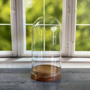 Vintage Glass Dome Display Cloche with Wooden Base Terrarium~7.5&quot; Tall Bell Jar Glass Dome~Garden Plant~Collectible Display Case~Home Decor