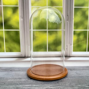 Vintage Glass Dome Display Cloche with Wooden Base Terrarium~10.5&quot; Tall Bell Jar Glass Dome~Garden Plant~Collectible Display Case~Home Decor