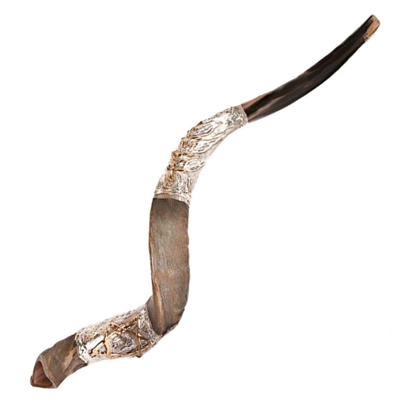 Cuerno Shofar Kudu de plata kosher natural Etsy España