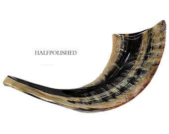 Half Polished Natural Kosher Jewish Shofar Ram Horn 9.4 - 11&quot;(15-24 cm) Israel