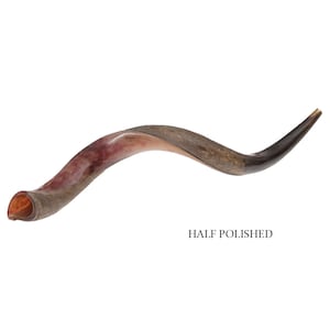 Natural Kosher Half-Polished Yemenite Shofar Kudu Horn Jewish Musical Instrument