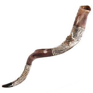 Natürliche kosher jemenitische Shofar Kudu Horn Silber vergoldet