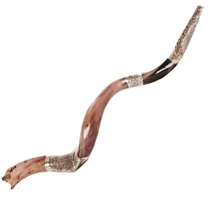 Natürliche koschere Silber vergoldet jemenitischen Shofar Kudu Horn