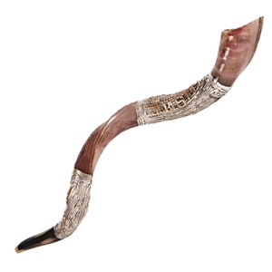 Natürliche kosher jemenitische Shofar Kudu Horn Silber vergoldet