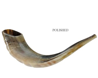 Natural Kosher Jewish Polished Shofar Ram Horn 15 - 17"(35-39 cm) Israel