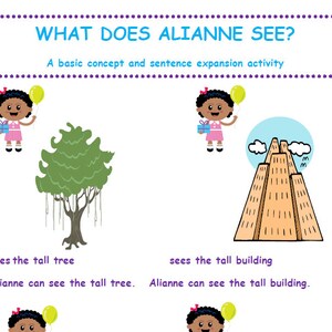 What Does Alianne See? Speech Therapy Activity Book for Adjectives and Sentence Building for Toddlers and Preschoolers