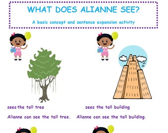 What Does Alianne See? Speech Therapy Activity Book for Adjectives and Sentence Building for Toddlers and Preschoolers