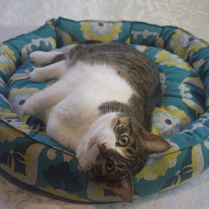 May include: A white and brown tabby cat is curled up in a turquoise and yellow patterned pet bed.