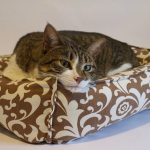 May include: A brown and white patterned cat bed with a tabby cat lying in it. The cat has green eyes and white markings on its face.