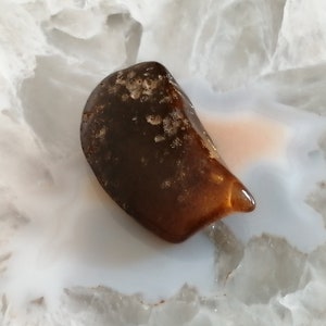 May include: A dark brown, irregularly shaped stone with a smooth, polished surface. The stone has a mottled appearance with lighter brown and white flecks throughout.