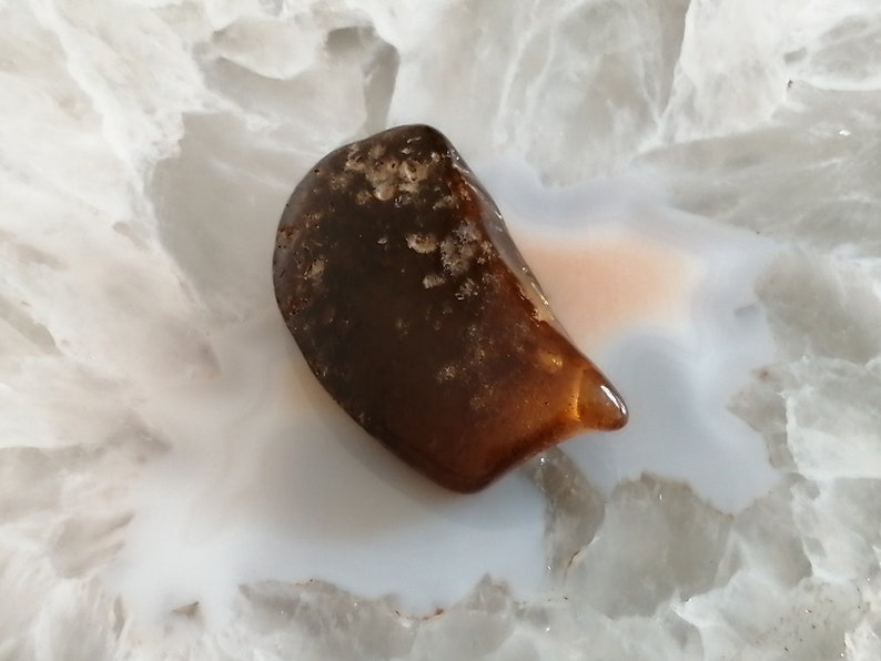 May include: A dark brown, irregularly shaped stone with a smooth, polished surface. The stone has a mottled appearance with lighter brown and white flecks throughout.