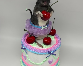 Faux Cake Taxidermy Rat Princess Whimsical Oddities Curio Decor Preserved Handmade Curiosities Art Gifts Birthday Faux Dessert Cherries OOAK