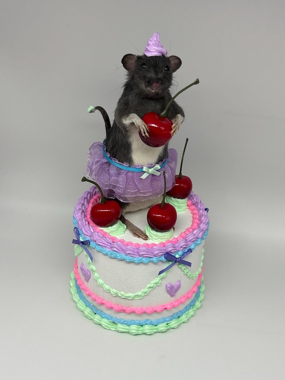 A taxidermied rat dressed as a cake princess — peak whimsical oddities craft that sits somewhere between folk art and cabinet of curiosities.