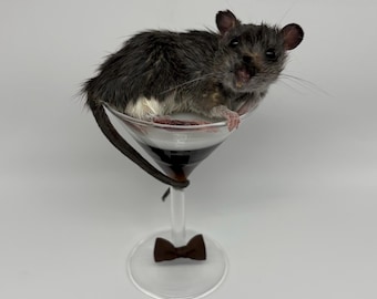 Espresso Martini Taxidermy Rat | Whimsical Fun Oddities Curio Bar Decor Preserved Curiosities Art Gifts Coffee Cocktail Faux Drink