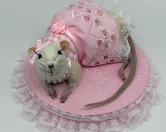 Rat Taxidermy Pink Princess | Whimsical Fun OOAK Oddities Preserved Curiosities Art Ruffle Lace Dress Coquette Cottagecore Decor