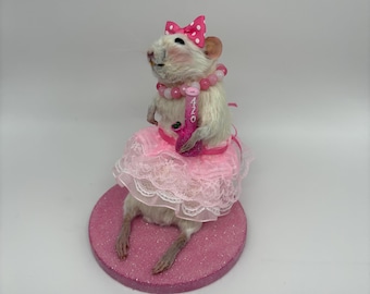 Taxidermy Rat Pink 420 Princess | Whimsical Oddities Curio Decor Preserved Handmade Curiosities Art Pipe Smoke Smokers Gifts