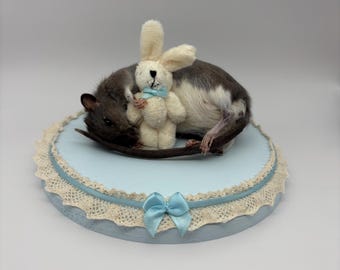 Sleeping Rat Taxidermy | Bunny Teddy Blue Bow Lace Whimsical Cute OOAK Oddities Preserved Curiosities Art Coquette Cottagecore Decor