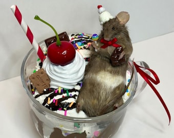 Taxidermy Mouse Ice Cream Sundae Mug Whimsical Fun OOAK Oddities Preserved Curiosities Art Decor  Faux Chocolate Dessert Sweets