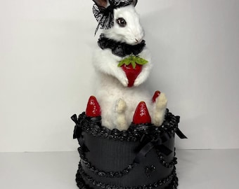 Cake Rabbit Taxidermy Baby Bunny Whimsical Fun OOAK Oddities Preserved Curiosities Art Decor Black Faux Dessert Strawberries Gothic Cute