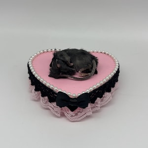 May include: A heart-shaped pink box with a black bow and lace trim, adorned with faux pearls. A small, dark-colored animal rests on top. The box has a black lace trim and a pink lace trim.