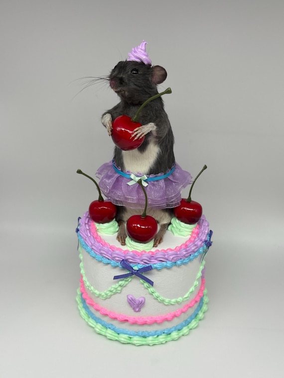 A taxidermied rat dressed as a cake princess — peak whimsical oddities craft that sits somewhere between folk art and cabinet of curiosities.